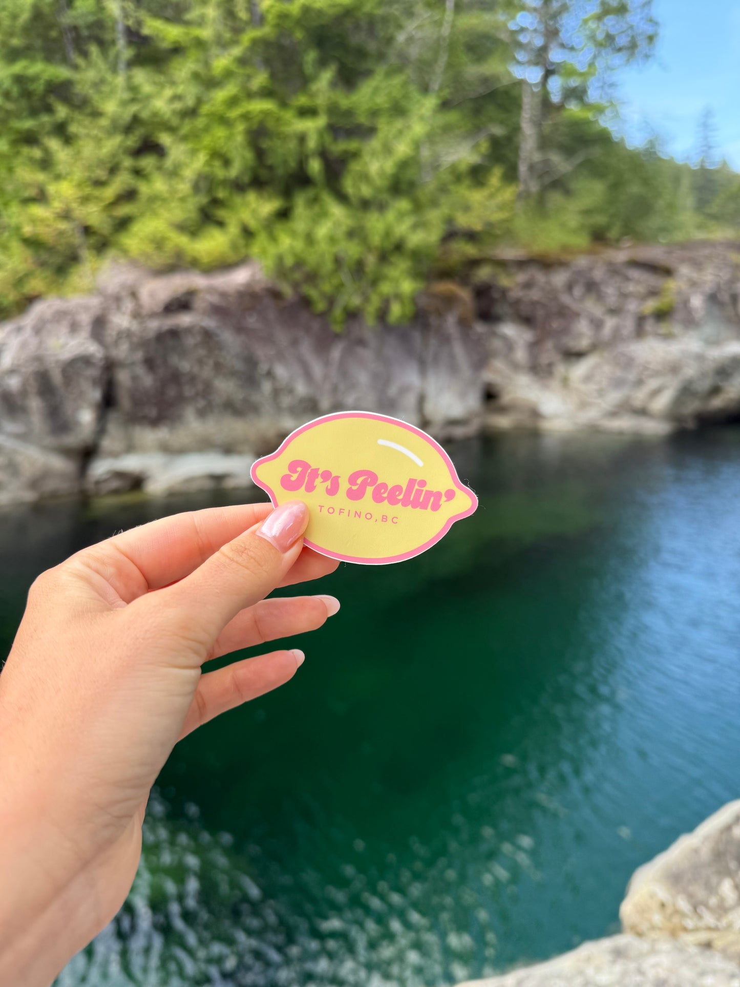 Fruit Stickers